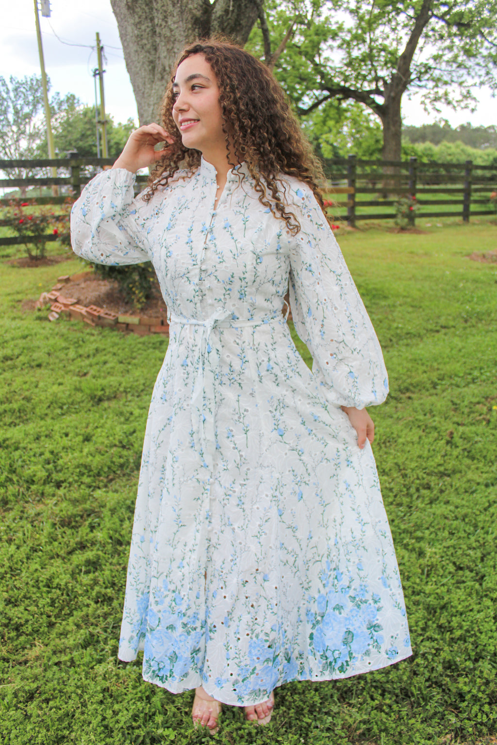 Garden Blue Dress