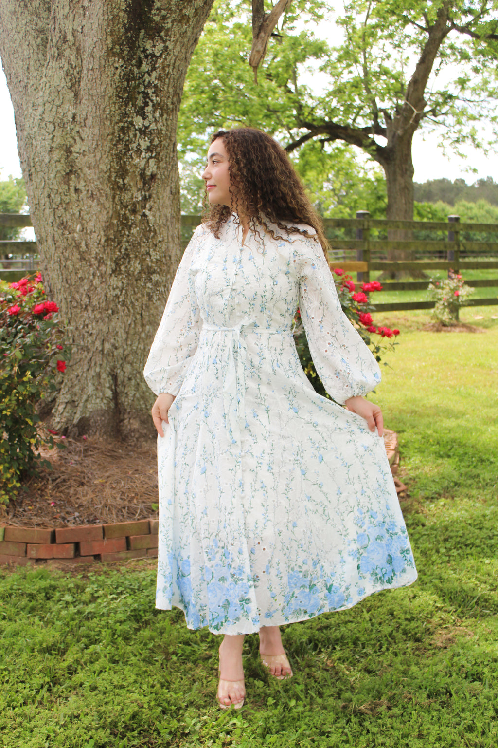 Garden Blue Dress