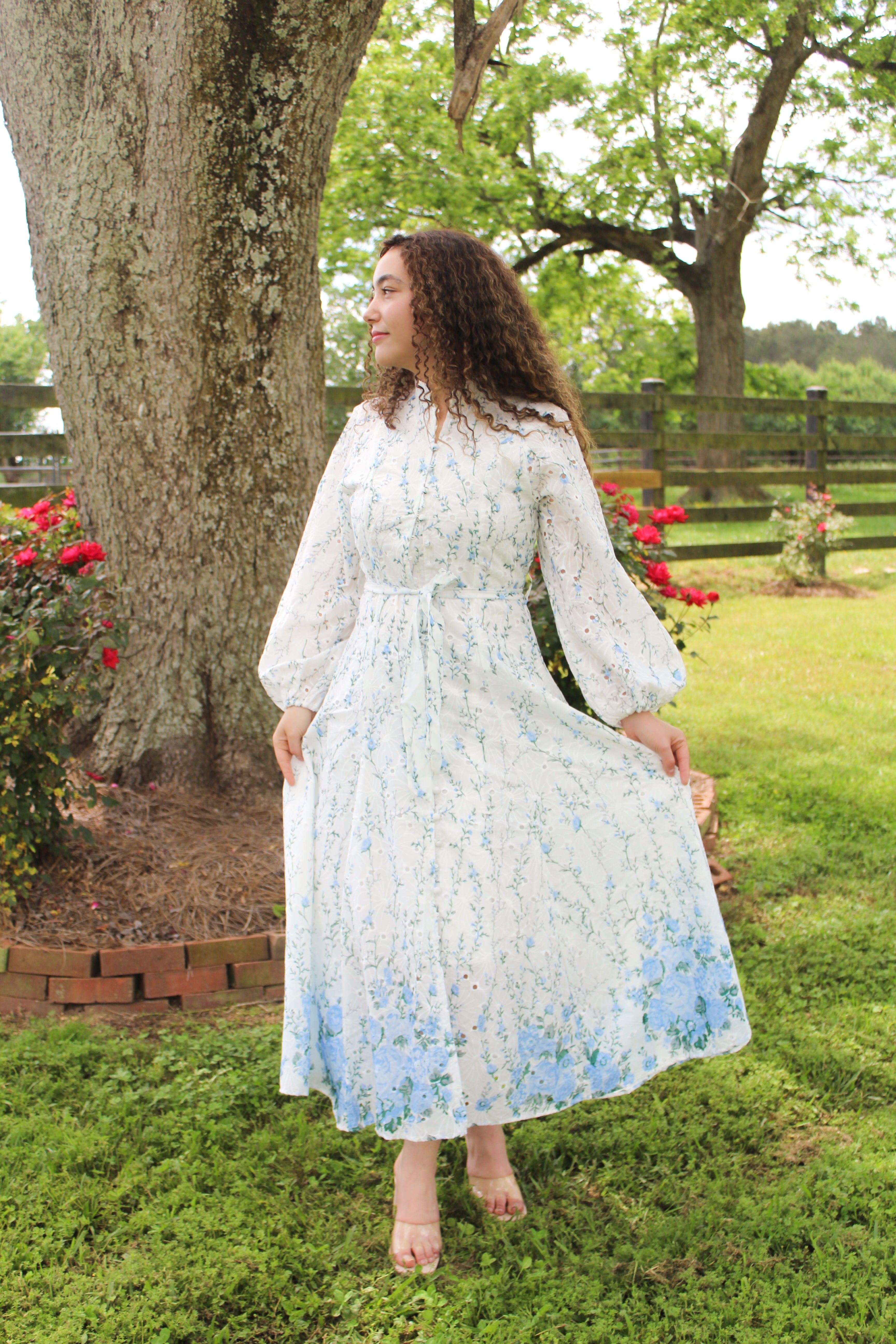 Garden Blue Dress